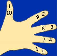 Hand with numbers